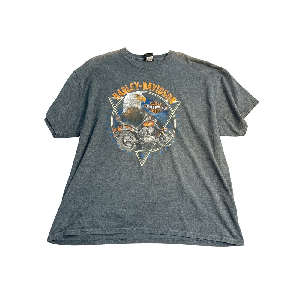 Harley-Davidson Brandon Florida Eagle Motorcycle Graphic T-Shirt Gray Mens 2XL